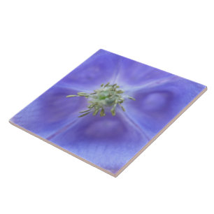 De Cerâmica Aquílio Flower Azulejo