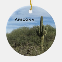 De Cerâmica Arizona Saguaro Cactus — Ornamento paisagístico