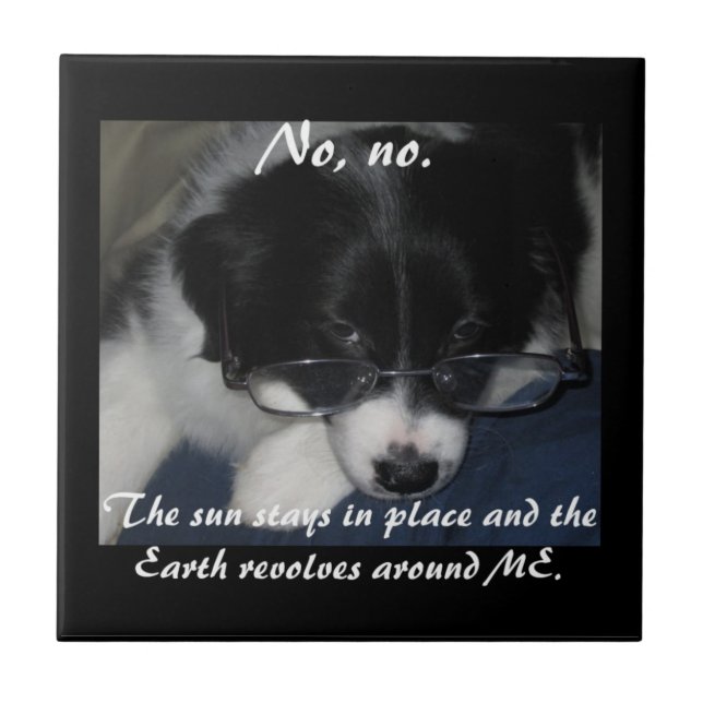 De Cerâmica azulejo "A Terra Revolta-Me Em Volta" (Frente)