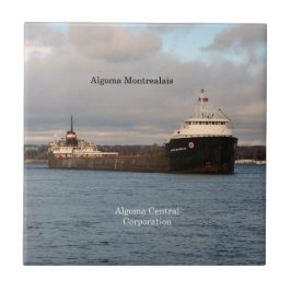 De Cerâmica Azulejo Algoma MONMONTALIS