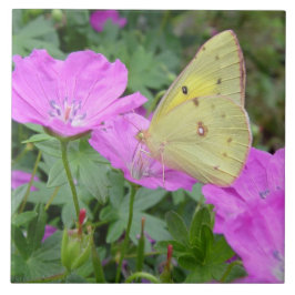 De Cerâmica Azulejo amarelo da borboleta