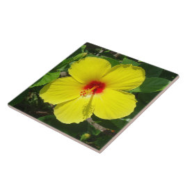De Cerâmica Azulejo amarelo do hibiscus