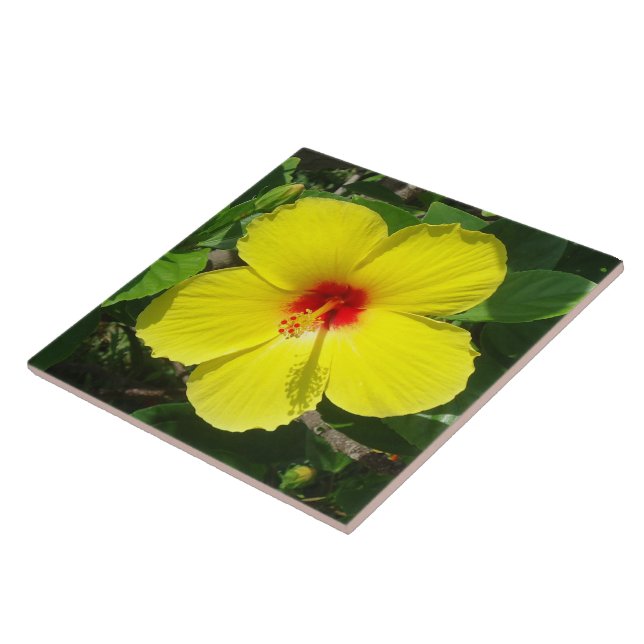 De Cerâmica Azulejo amarelo do hibiscus (Lateral)