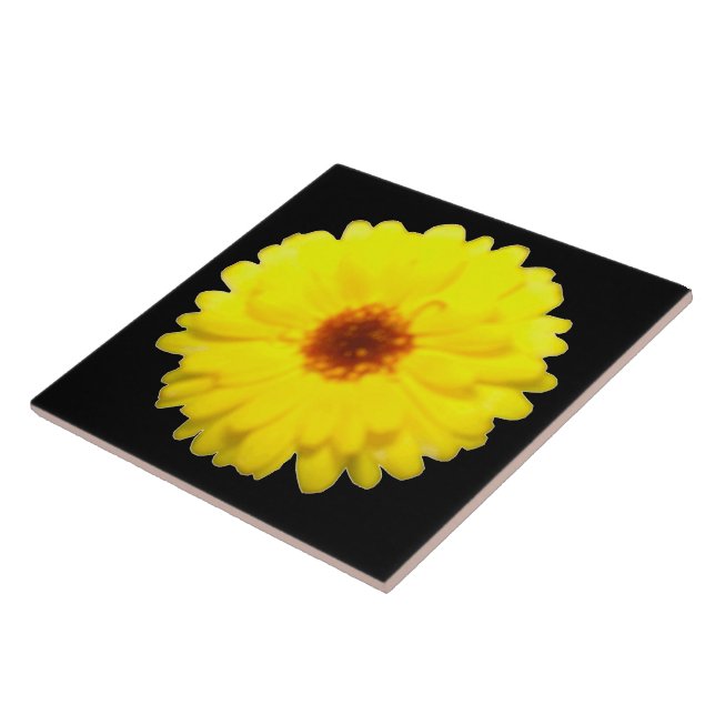 De Cerâmica Azulejo amarelo fluorescente Marigold (Lateral)