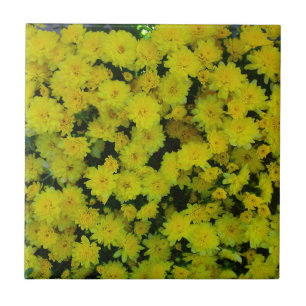 De Cerâmica Azulejo Amarelo Margarita Daisy