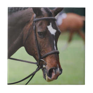 De Cerâmica Azulejo árabe bonito do cavalo