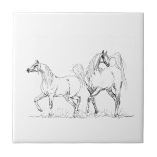 De Cerâmica Azulejo árabe do cavalo - cavalos árabes