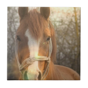De Cerâmica Azulejo árabe do cavalo da castanha