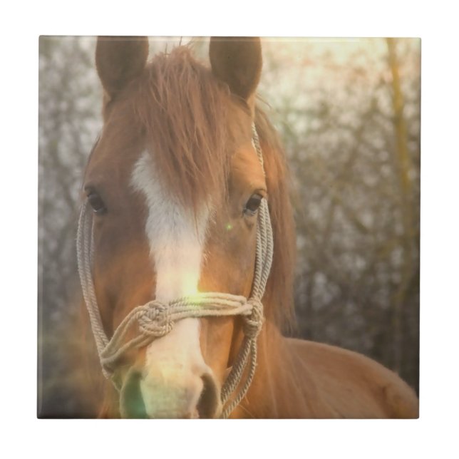 De Cerâmica Azulejo árabe do cavalo da castanha (Frente)