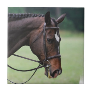De Cerâmica Azulejo árabe doce do cavalo
