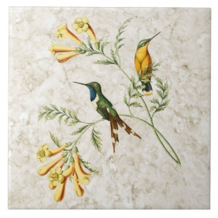 De Cerâmica Azulejo atado Sparkling do colibri