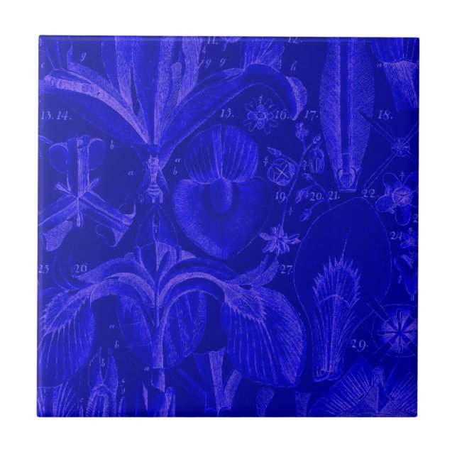 De Cerâmica Azulejo Azul Colbalt (Frente)