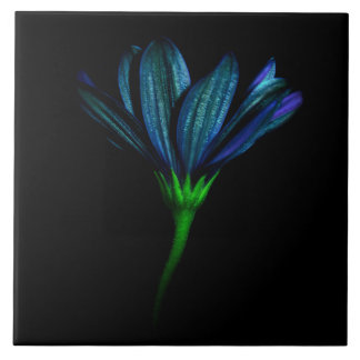 De Cerâmica Azulejo azul da flor