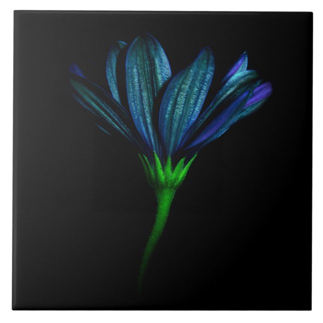 De Cerâmica Azulejo azul da flor (Frente)
