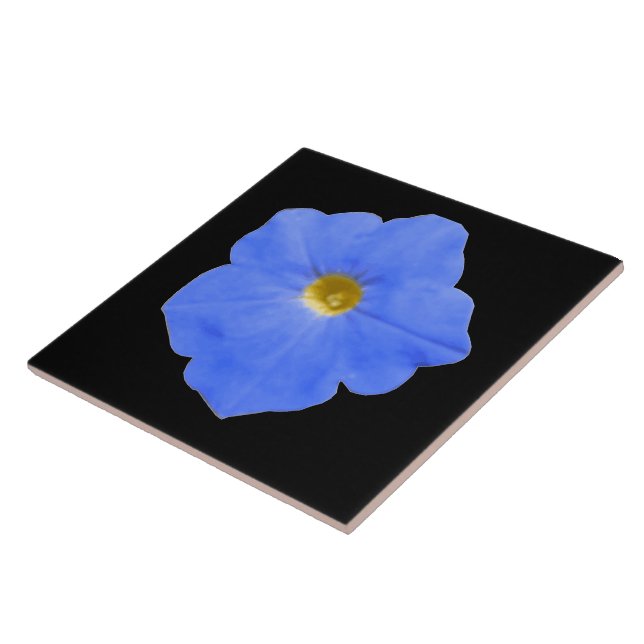 De Cerâmica Azulejo azul Petunia e amarelo (Lateral)