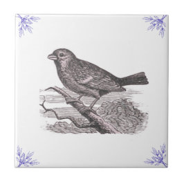 De Cerâmica Azulejo Blue Bird e Twigs