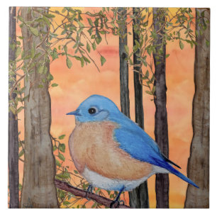 De Cerâmica Azulejo Bluebird, Grande