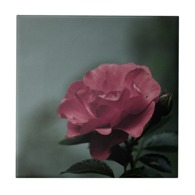 De Cerâmica Azulejo Blush Real (Frente)