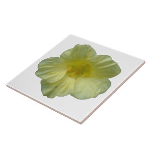 De Cerâmica Azulejo bonito Nasturtium