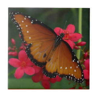 De Cerâmica azulejo Borboleta Laranja