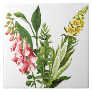 De Cerâmica Azulejo botânico da flor floral do Foxglove