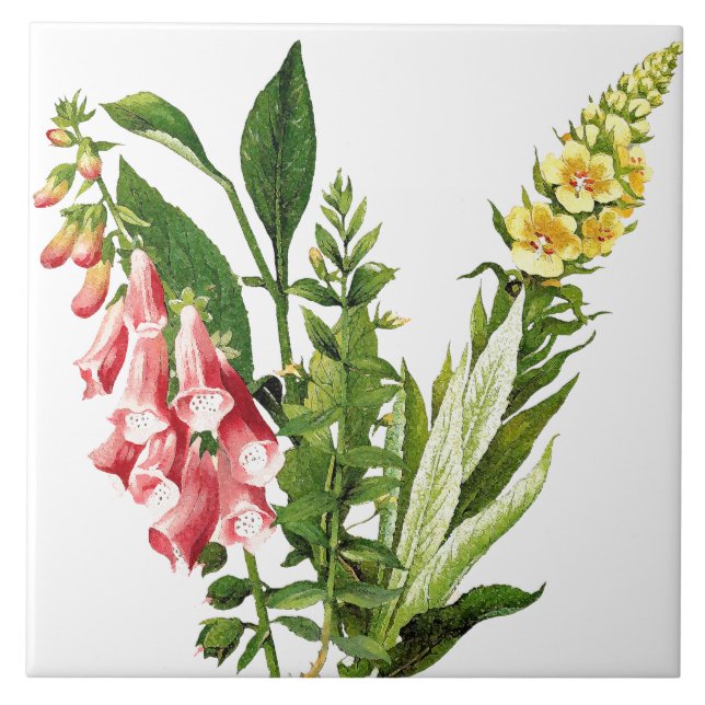 De Cerâmica Azulejo botânico da flor floral do Foxglove (Frente)