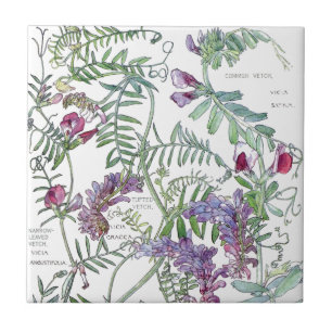 De Cerâmica Azulejo botânico das flores do Wildflower da