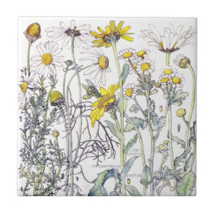 De Cerâmica Azulejo botânico das flores do Wildflower do