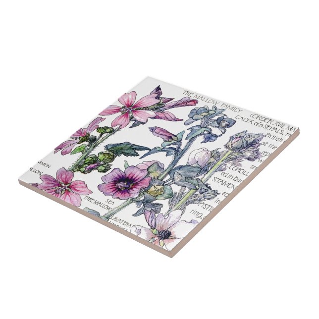 De Cerâmica Azulejo botânico das flores do Wildflower do (Lateral)