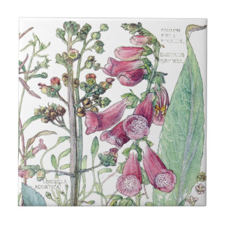 De Cerâmica Azulejo botânico das flores do Wildflower do