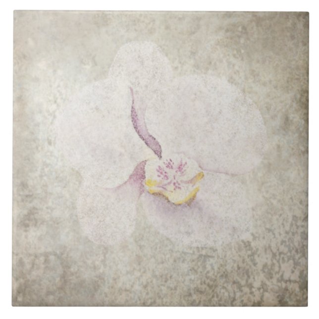 De Cerâmica Azulejo Botânico envelhecido - Aqua e Osso V5 (Frente)