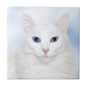 De Cerâmica Azulejo branco da cara do gato