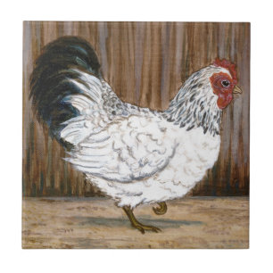 De Cerâmica Azulejo branco da galinha