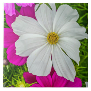 De Cerâmica Azulejo branco e cor-de-rosa das flores