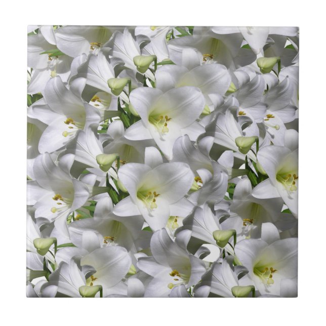 De Cerâmica Azulejo Branco Floral (Frente)