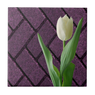 De Cerâmica Azulejo Branco Tulipa Floral Roxa