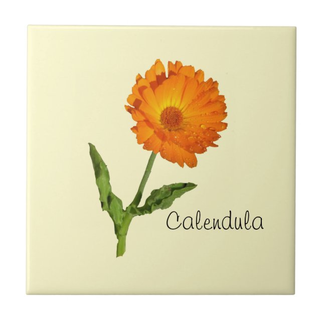 De Cerâmica Azulejo - Calendário (Frente)