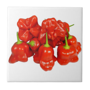 De Cerâmica Azulejo Capsicum Chinense Chili