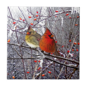 De Cerâmica Azulejo cardinal da floresta