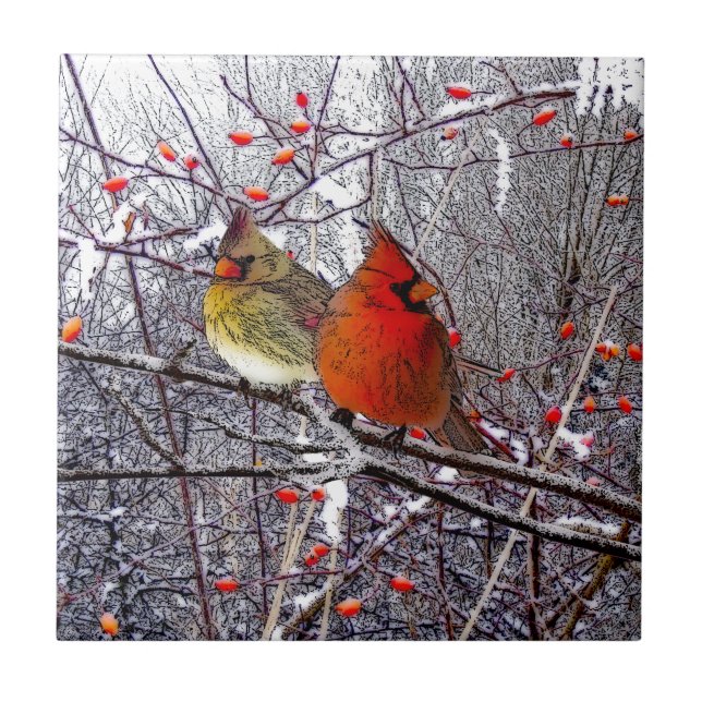 De Cerâmica Azulejo cardinal da floresta (Frente)
