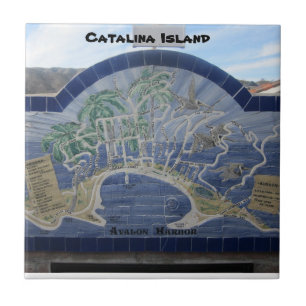 DE CERÂMICA AZULEJO CERAMIC DA CATALINA ILHA