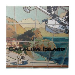 DE CERÂMICA  AZULEJO CERAMIC DA CATALINA ILHA
