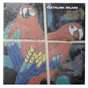 DE CERÂMICA  AZULEJO CERAMIC DA CATALINA ILHA