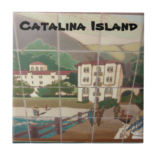 DE CERÂMICA AZULEJO CERAMIC DA CATALINA ILHA