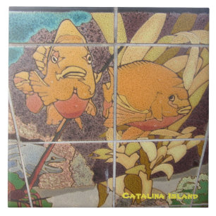 DE CERÂMICA AZULEJO CERAMIC DA CATALINA ILHA