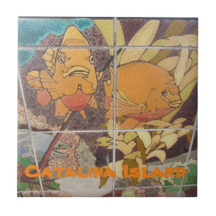 DE CERÂMICA  AZULEJO CERAMIC DA CATALINA ILHA