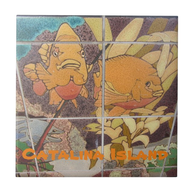 DE CERÂMICA  AZULEJO CERAMIC DA CATALINA ILHA (Frente)