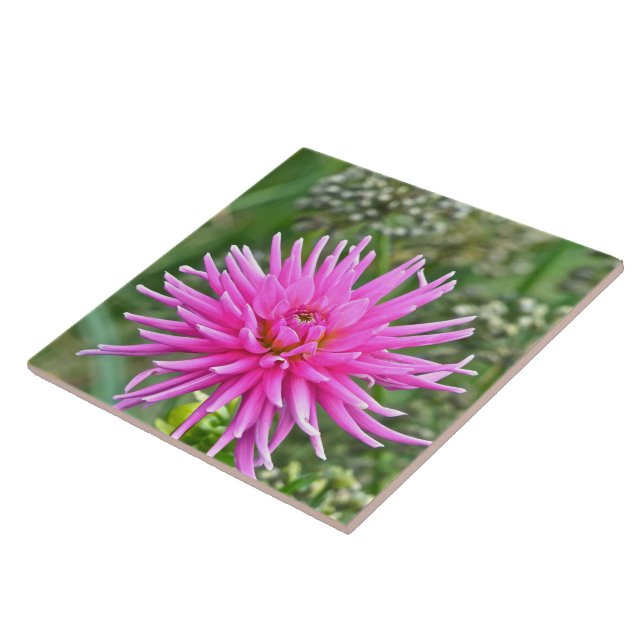 DE CERÂMICA  AZULEJO CERAMIC/PINK DAHLIA (Lateral)