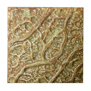 De Cerâmica Azulejo cerâmico