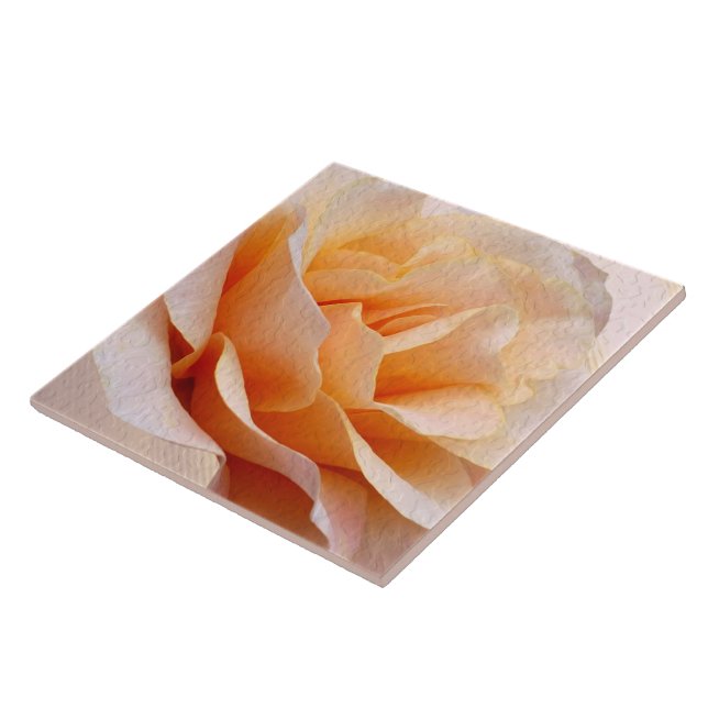 De Cerâmica Azulejo cerâmico (Lateral)